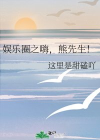 娱乐圈之嗨，熊先生！