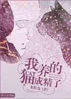 《我养的猫成精了》