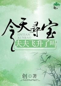 今天寻宝夫夫飞升了吗