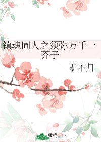 《镇魂同人之须弥万千一芥子》
