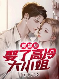 《离婚后,娶了高冷大小姐》