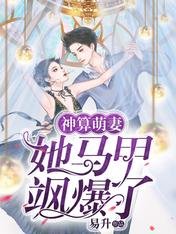 《神算萌妻:她马甲飒爆了》