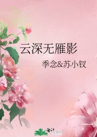 《云深无雁影》