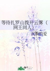 《等待扎罗山拨开云雾(网王同人)》