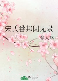 《宋氏番邦闻见录》