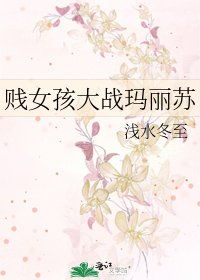 《贱女孩大战玛丽苏》