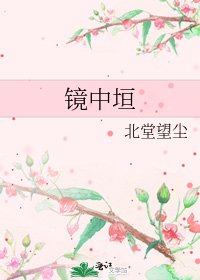 《镜中垣》