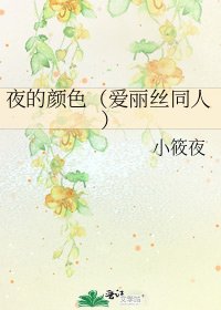 《夜的颜色(爱丽丝同人)》