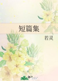 《短篇集》