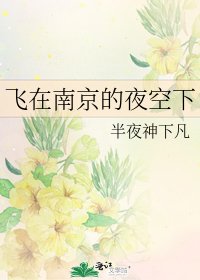 《飞在南京的夜空下》