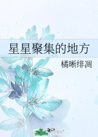 《星星聚集的地方》