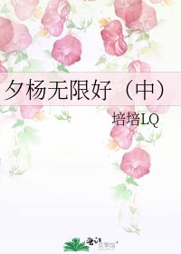 《夕杨无限好(中)》