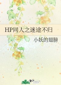 《HP同人之迷途不归》