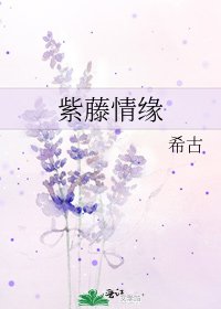 紫藤情缘
