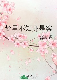 《梦里不知身是客》