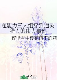 《超能力三人组穿到通灵猎人的伟大事迹》