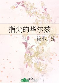 《指尖的华尔兹》