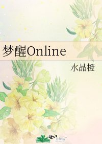 《梦醒Online》