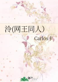 《泠(网王同人)》