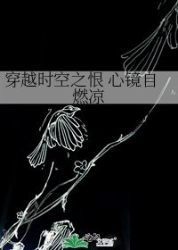 《穿越时空之恨 心镜自燃凉》