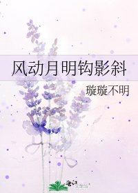 《风动月明钩影斜》