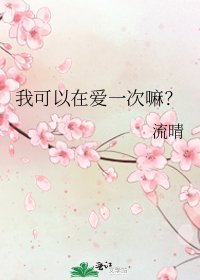《我可以在爱一次嘛?》