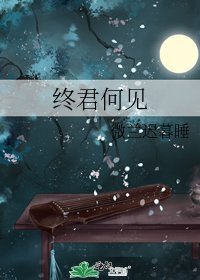 《终君何见》