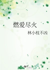 《燃爱尽火》