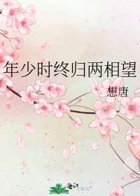《年少时终归两相望》