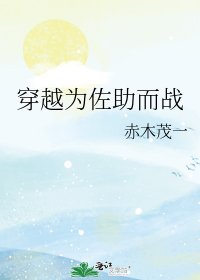 《穿越为佐助而战》