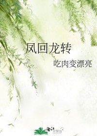 《凤回龙转》