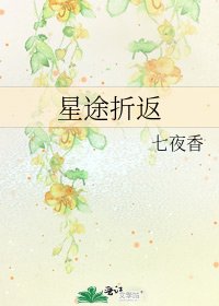 《星途折返》