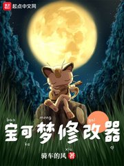 《(精灵宝可梦同人)宝可梦修改器》