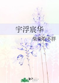 《宇浮宸华》