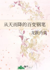 从天而降的百变钢笔