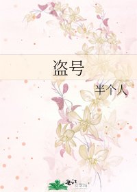 《盗号》