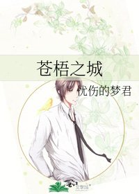 《苍梧之城》