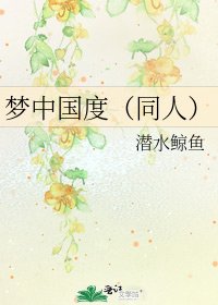 《梦中国度(同人)》
