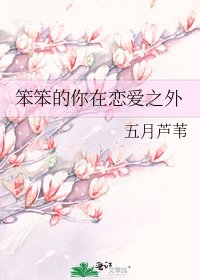 《笨笨的你在恋爱之外》