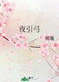 《夜引弓》