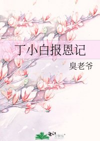 《丁小白报恩记》