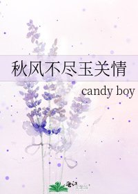 《秋风不尽玉关情》