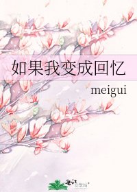 《如果我变成回忆》