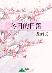 《冬日的日落》