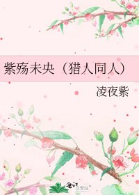 《紫殇未央(猎人同人)》