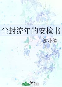 《尘封流年的安检书》