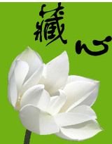 《南陈:藏心》