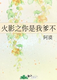 《火影之你是我爹不》