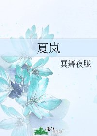 《夏岚》