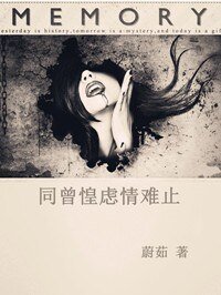 同曾惶虑情难止